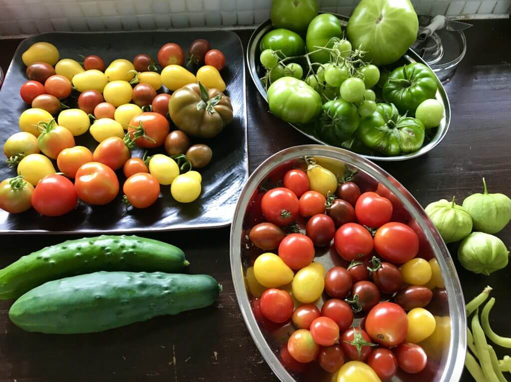 Fresh homegrown vegetables