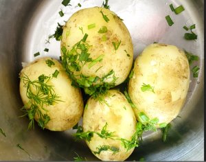 Freshly cooked Finnish new potatoes in a pot, topped with chopped dill.