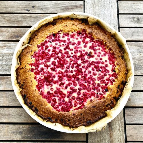 Red Currant Sour Cream Pie in a pie dish, topped with fresh red currants and baked until golden.