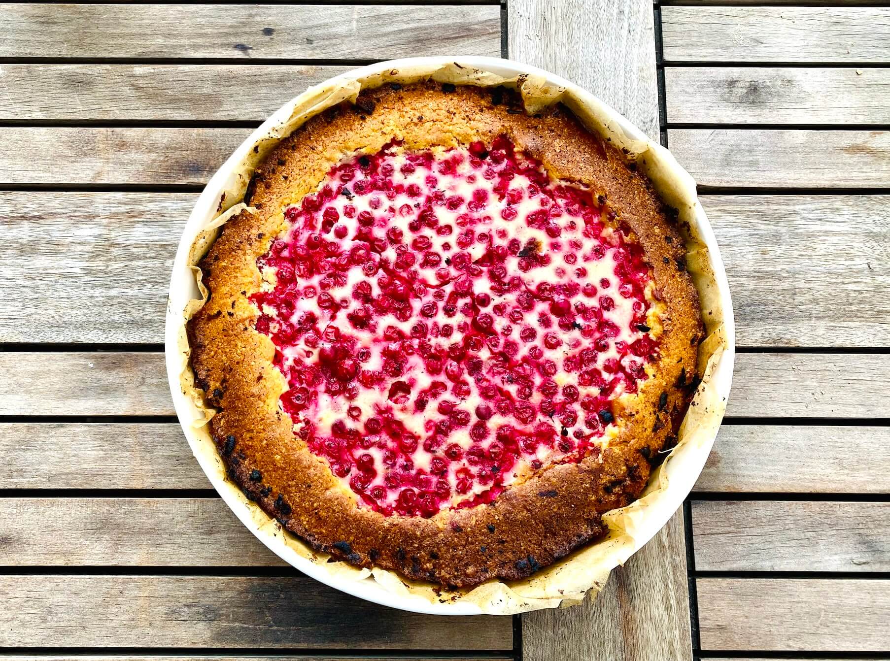 Red Currant Sour Cream Pie in a pie dish, topped with fresh red currants and baked until golden.