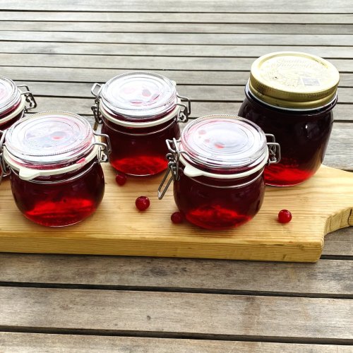 Five jars of homemade red currant jelly on a wooden board with fresh red currants
